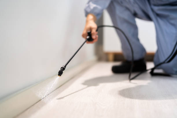 Bed Bug Pre-Treatment Preparation Assessment in Woods Creek