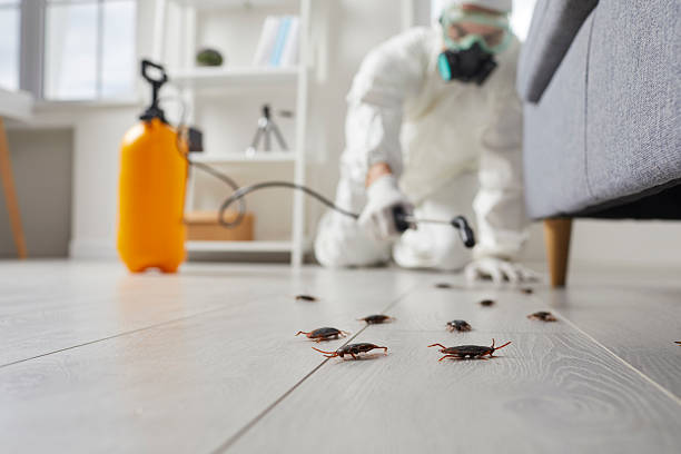 Post-Treatment Bed Bug Interceptor Monitoring in Woods Creek