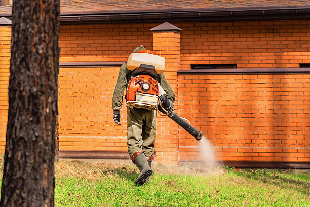 Bed Bug Clearance Verification and Documentation in Woods Creek